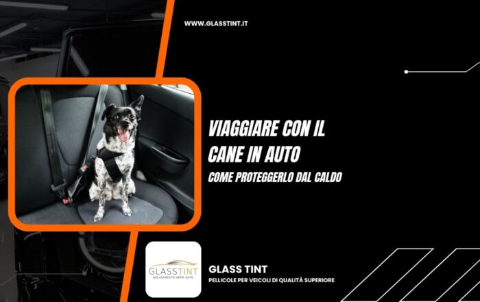 viaggiare con il cane in auto