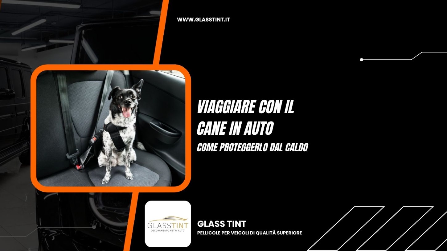 viaggiare con il cane in auto